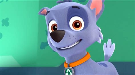 Rocky In Season 3 Paw Patrol Photo 40152901 Fanpop