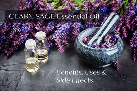 Clary Sage Essential Oil Benefits Uses And Side Effects