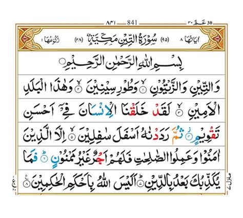 Surah At Tin - Faiz e Islam