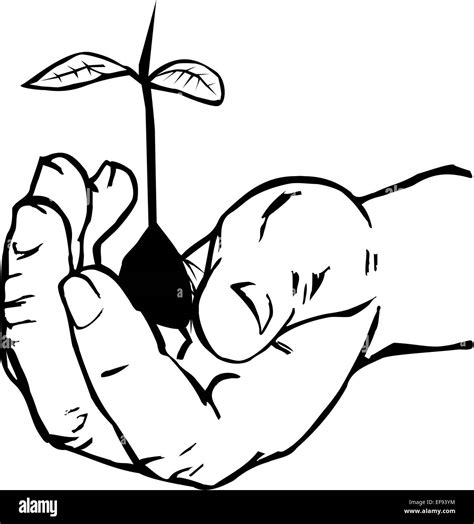 Hand Holding Plant Clipart