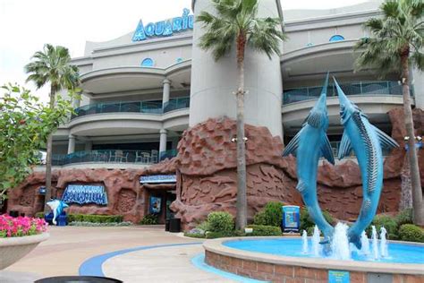 Top 3 things to do in Downtown Aquarium Houston