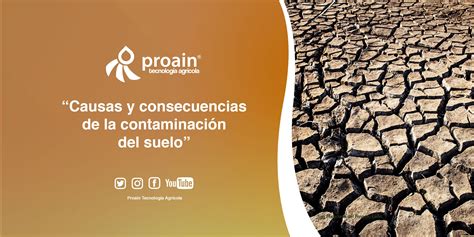 Causas Y Consecuencias De La ContaminaciÓn Del Suelo