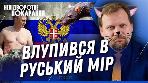 Житомирський КОТ ковтнув кремлівського ЩУРА! Чому Юрій Кот пірнув у ...