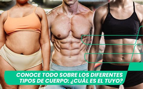 Descubre C Mo Entrenar Seg N Tu Tipo De Cuerpo Para Obtener Los Mejores