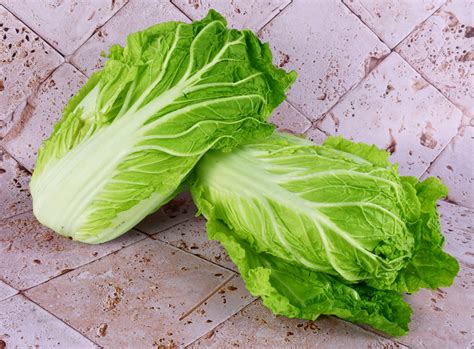 Buy Les Jardins Du Petit Depot Chinese Cabbage 1 5kg Le Petit Depot