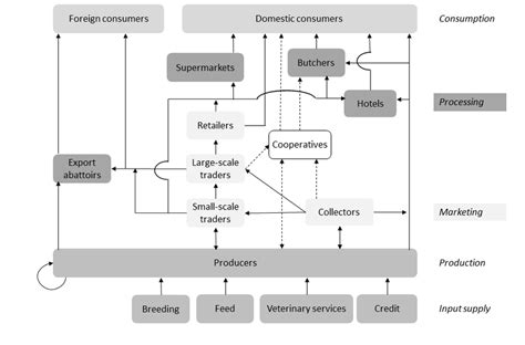 Small Ruminant Value Chain In Ethiopia Adapted From The Vca Synthesis