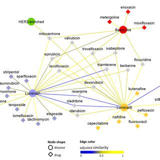 Drug Disease Network Filtered By The In Silico Validation This