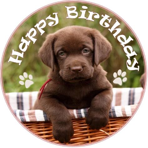 Wish You A Very Happy Birthday Puppy Image Wish Birthday Birthday