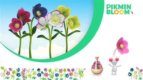 Pikmin Bloom Detalla Sus Planes Para Diciembre De Nintenderos