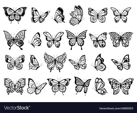 Butterfly Collection Beautiful Nature Flying Vector Image