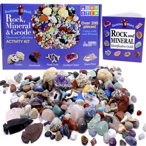 Buy Dancing Bear Rock And Mineral Collection Activity Kit 200pcs With