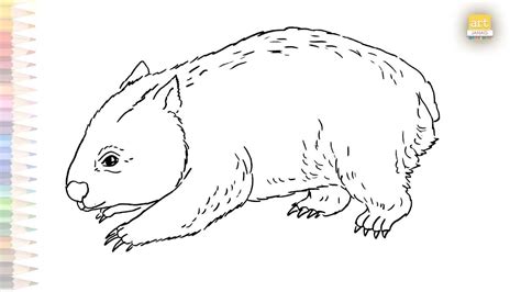 Wombat Drawing Outline