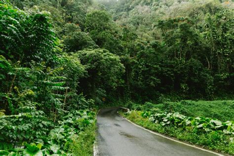 Road to Hana - Maui Hideaway