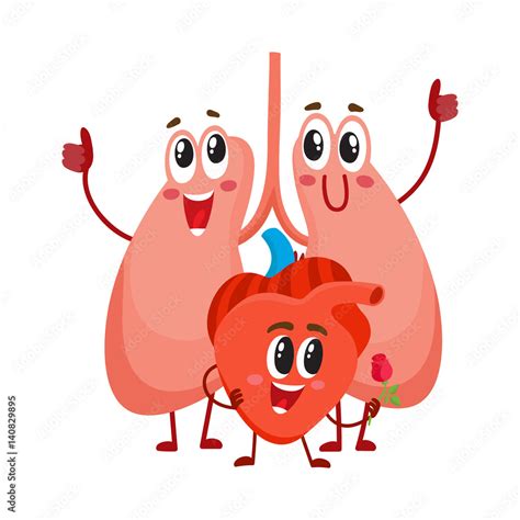 Funny Smiling Human Lungs And Heart Characters Internal Organs In The