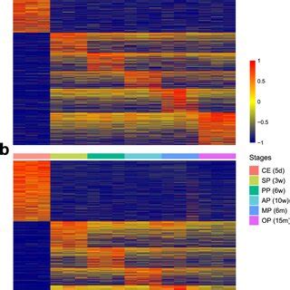 Heatmaps Of Differentially Expressed Genes In 18 Samples Heatmaps