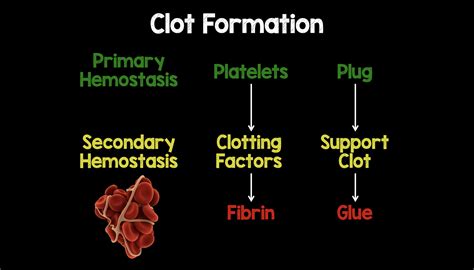 Clot Formation - REBEL EM - Emergency Medicine Blog