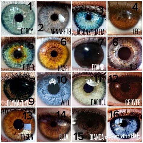 What Is The Best Hair Color For Hazel Eyes Artofit