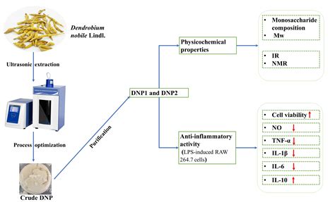 Foods Free Full Text Ultrasonic Extraction Process Of Polysaccharides From Dendrobium Nobile