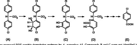 Figure 2 From Aerobic Degradation Of 1 1 1 Trichloro 2 2 Bis 4