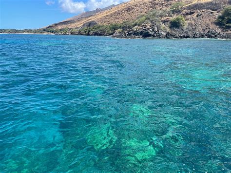 Maui Snorkeling Lani Kai Makawao All You Need To Know Before You Go