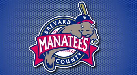 Brevard County Manatees Alchetron The Free Social Encyclopedia