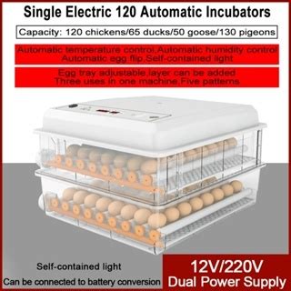 Eggs Incubator V Digital Fully Automatic Constant