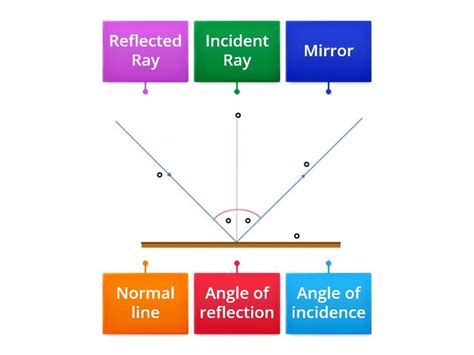 Light reflection diagram - Labelled diagram