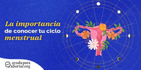 La Importancia De Conocer Tu Ciclo Menstrual Consulte Aquí En S2c