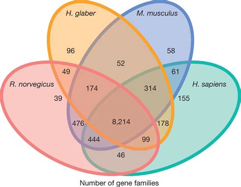 Common And Unique Nmr Gene Families This Venn Diagram Shows Unique And