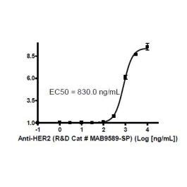 Adcp Bioassay Effector Cell Fc Riia H Variant Nfat Reporter Jurkat