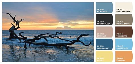 Paint Colors From Chip It By Sherwin Williams Driftwood Beach Stone