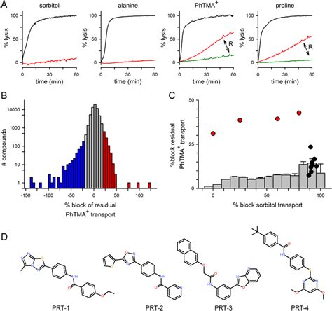 A Cell Based High Throughput Screen Identifies Novel Residual Transport