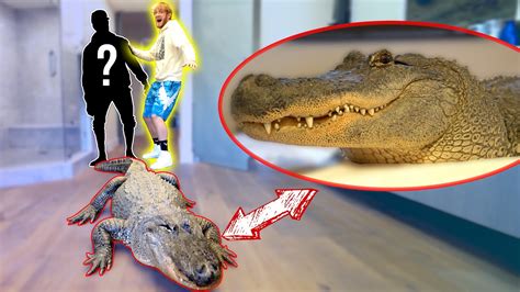 LIVE ALLIGATOR PRANK ON NEW ROOMMATE! - YouTube