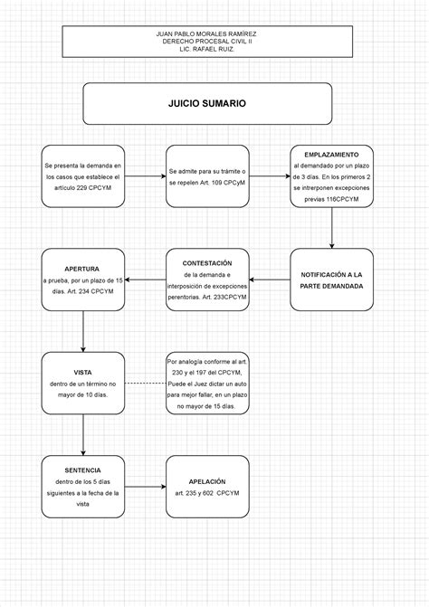 Diagrama Juicio Sumario JUICIO SUMARIO Se Presenta La Demanda En Los