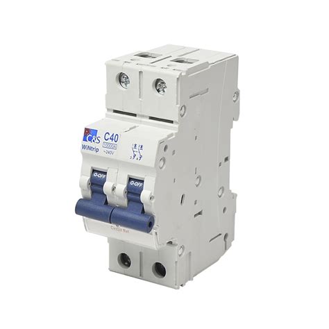 PROMELSA Interruptor termomagnético 2x40A 10kA 240 415V tipo C DIN