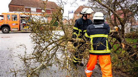 Tief Jitka Legt Den Norden Lahm Hamburger U Bahn Knallt In Baum