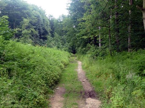 Track In East Wood Graham Hogg Cc By Sa Geograph Britain And