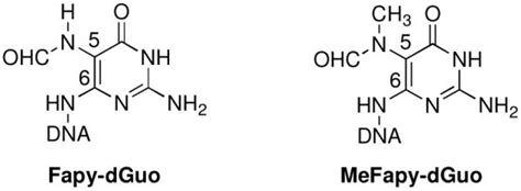 Site Specific Synthesis And Characterization Of Oligonucleotides