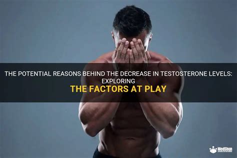 The Potential Reasons Behind The Decrease In Testosterone Levels