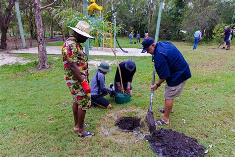 Our Last Meeting Tree Planting At Rotary Park Rotary Club Of Caloundra