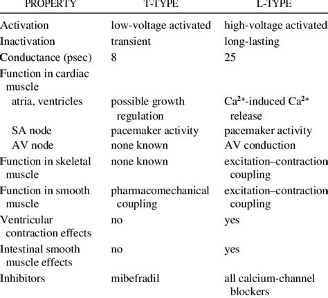 Properties of T-Type and L-Type Calcium Channels | Download Table