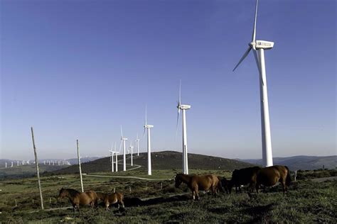 Ecobolsa Endesa Suministrará Energía Eólica Durante 10 Años A La