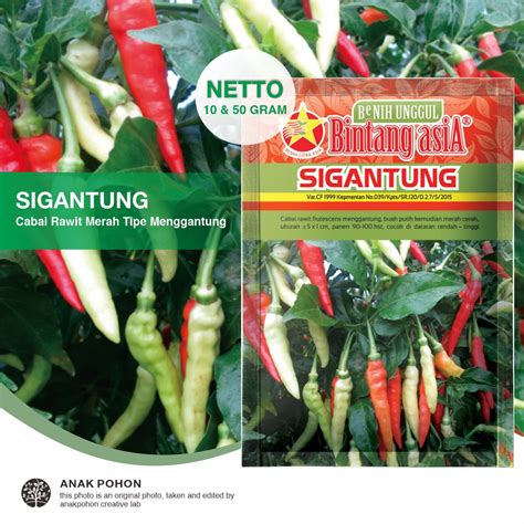 Jual Pack Benih Cabai Rawit Sigantung Cabe Rawit Merah Pedas Setan