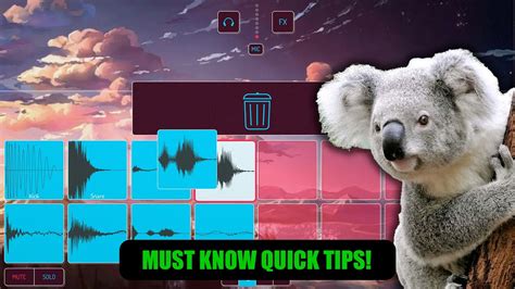 Quick Tips For Koala Sampler Youtube