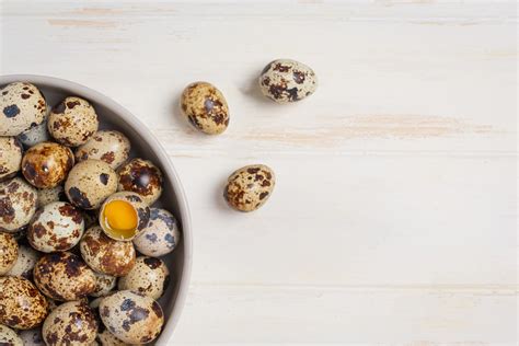 Ovo De Codorna É Bom Para Dieta - Ovo de codorna: bom ou ruim? Vem descobrir mais sobre esse alimento