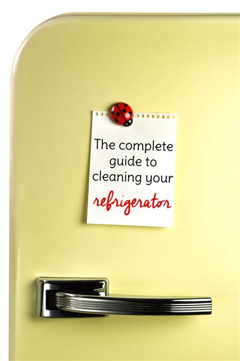 The Complete Guide To Cleaning Your Refrigerator The Cleaner Home