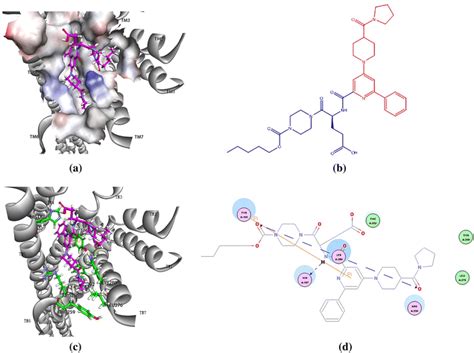 Binding Mode Of The Compound 25 The Most Active One In All Molecules