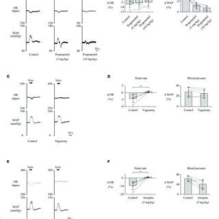 A C E Changes In Heart Rate HR And Mean Arterial Pressure MAP