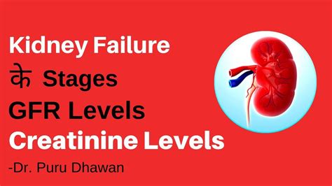 Stages Of Kidney Failure GFR Level Range Creatinine Levels, 51% OFF