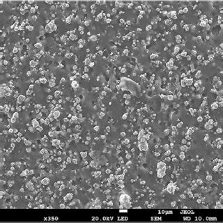 Sem Image Of The Ni Pdms Composite Mold Cross Section Ni Powder Is